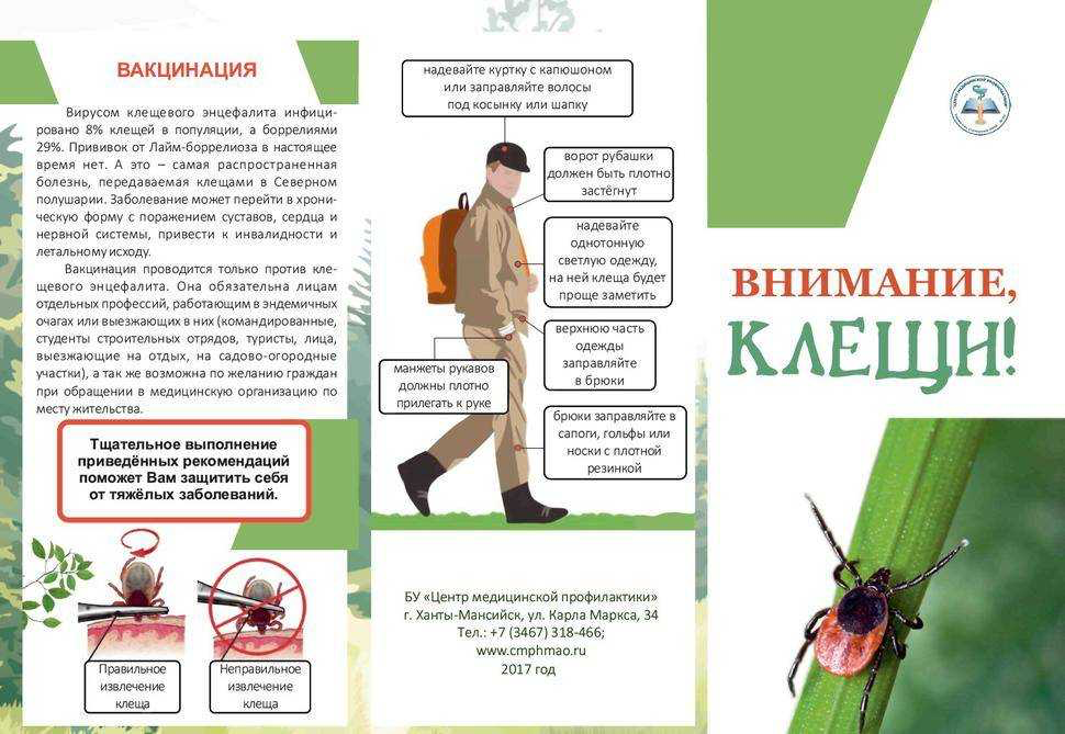 Риск укуса клеща Риск укуса клеща.